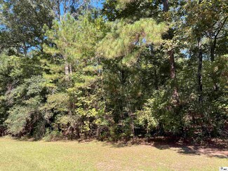 0 Highway 167 Unit Tract 2 203290, Hodge, LA 71247