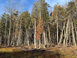 070-014 Sunrise Shore Rd, Steuben, ME 04680