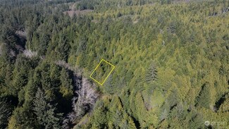 0 Seaward Dr Unit NWM2212507, Taholah, WA 98587
