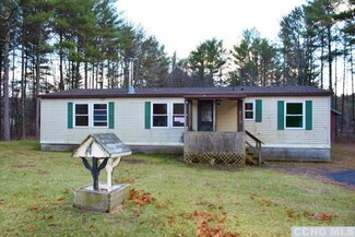 45 Christina Dr, Cairo, NY 12413