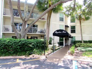 3325 Bayshore Blvd Unit D13, Tampa, FL 33629
