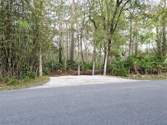 0 Fanny Bass Ln, Saint Cloud, FL 34772