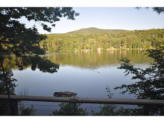 258 Rand Pond Rd, Goshen, NH 03752