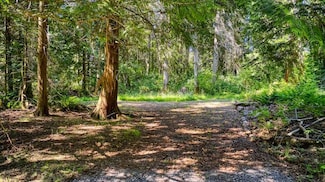 Lot 4 Mckenzie Way Unit 4, Point Roberts, WA 98281