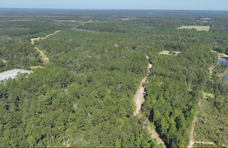0 Mount Sinai Cemetery Rd, Lucedale, MS 39452