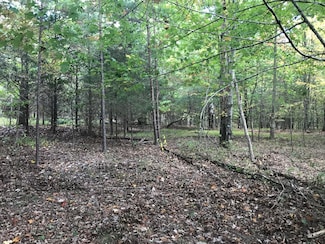 57 Deer Point Dr, Dunlap, TN 37327