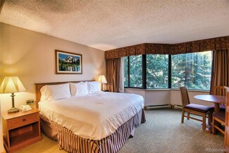 6 Emmons Rd Unit 211, Crested Butte, CO 81225