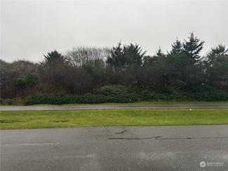 121 Barnacle St, Ocean Shores, WA 98569
