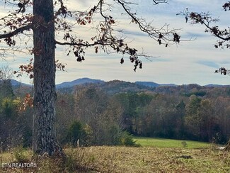 2 Three Point Rd, Vonore, TN 37885