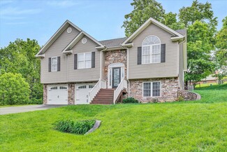 3771 Read Mountain Rd, Cloverdale, VA 24077