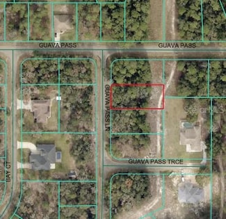 0 Guava Pass Ln, Ocklawaha, FL 32179