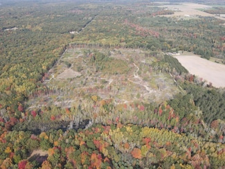 0VL S Imperial Rd, Grant Township, MI 48763