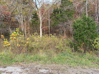 164 Webb Rd, Waco, KY 40385