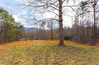 9999 Youngs Gap Rd, Fletcher, NC 28732