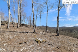 Lot 29 Timberwood Trail, Newland, NC 28657