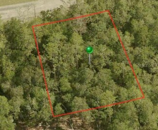 1396 W Starbright Place, Citrus Springs, FL 34434