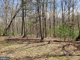LOT 10 Red Tail Ct, Basye, VA 22810