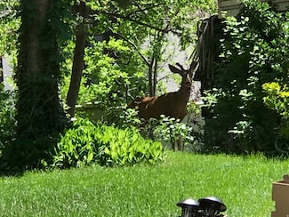 2113 E Fardown Ave, Holladay, UT 84121