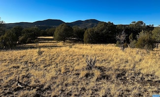 100 Black Dog Rd, Silver City, NM 88061