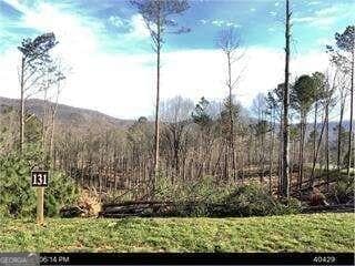 Lot 131 Lot 131 Twisted Oak Unit 131, Ellijay, GA 30540