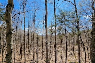 00000 Palisades, Webb, NY 13420