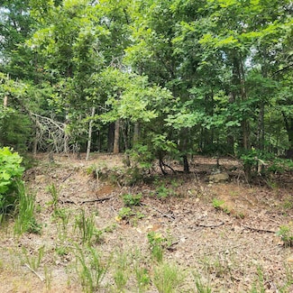 L-60, B-6 Anadarka Dr, Cherokee Village, AR 72529