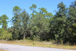 0 Byrd Blvd Unit U16 B813 L4, Chipley, FL 32428