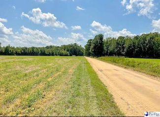 1408 Kelley Rd, Olanta, SC 29114