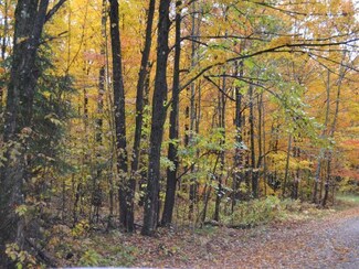 ON Atkins Rd Unit 40 ACRES, Hiles, WI 54511