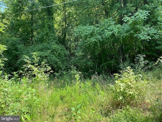 0 Fairview Dr, James Monroe, VA 22485