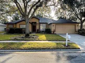 19809 Wyndham Lakes Dr, Odessa, FL 33556