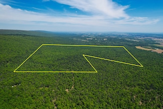 WP Lot 001 Aikey Rd, Laurelton, PA 17835