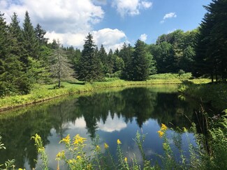 2634 Steele Hill Rd, Roxbury, VT 05669