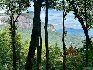 0 Falcon Ridge Unit 1001337, Highlands, NC 28741