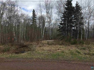 Lot 3 and 4 Snowshoe Trail Unit Wildwood Acres, Tofte Township, MN 55615