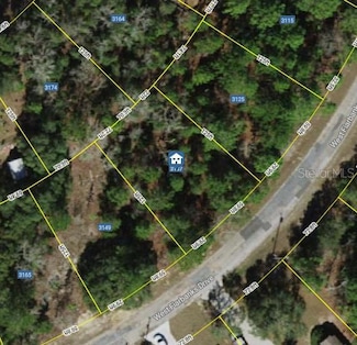 3125 & 3137 W Fairbank Dr, Citrus Springs, FL 34433