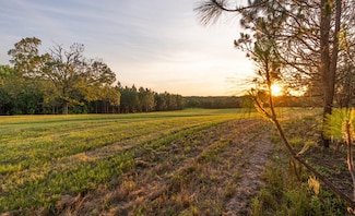 Moore Rd, Grady, AL 36036