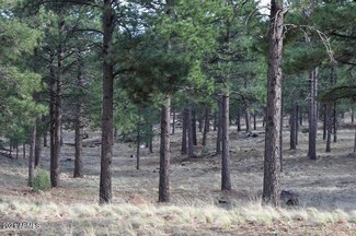 3665 S Clubhouse Cir Unit 157, Flagstaff, AZ 86005