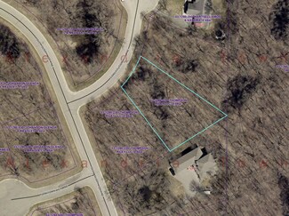 Lot 13 Block 1 Constitution Ct NE, Alexandria Township, MN 56308