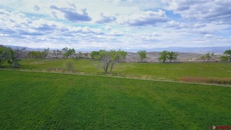 299+ Acres Sunnyside Rd, Montrose, CO 81401
