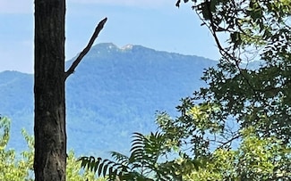 14 Panoramic View, Hayesville, NC 28904