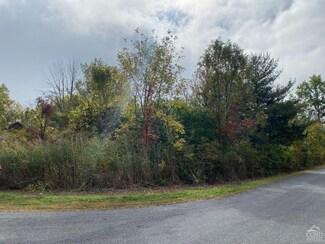 0 Debbie Dr Unit 154816, Athens, NY 12015