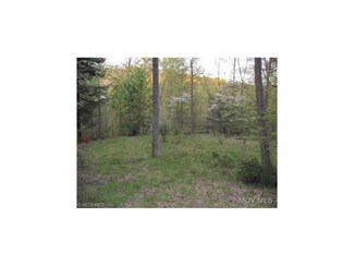 0 Chanteclair Rd Unit M234036, Cornwallis, WV 26337