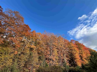 TBD Old Horton Bay Rd, Boyne City, MI 49712