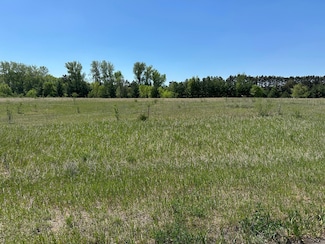 XXX 146th St NW, Princeton, MN 55371