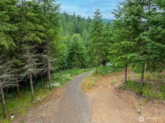 0 N Mahaffey Rd, Kelso, WA 98626