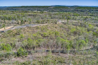 0 River Rd Unit 1258479, Decatur, TN 37322