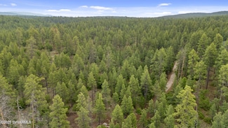 1430 E Puma Place Unit B, Munds Park, AZ 86017