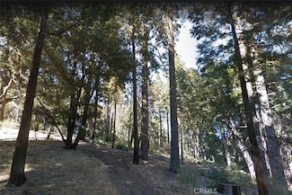 59 Mojave River Rd, Crestline, CA 92325