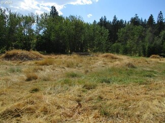 410 Mill Creek Ln, Cove, OR 97824